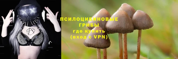 скорость Алзамай